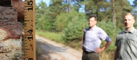 zwei Waldexperten vermessen das Volumen von geschlagenem Holz