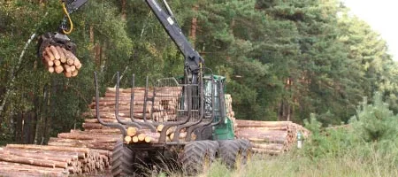 schwere Maschinen bei der Waldarbeit