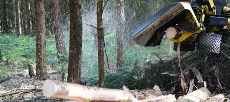 Großgerät im Waldeinsatz